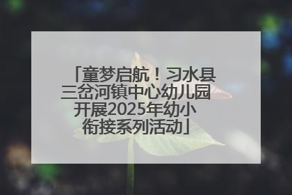童梦启航！习水县三岔河镇中心幼儿园开展2025年幼小衔接系列活动